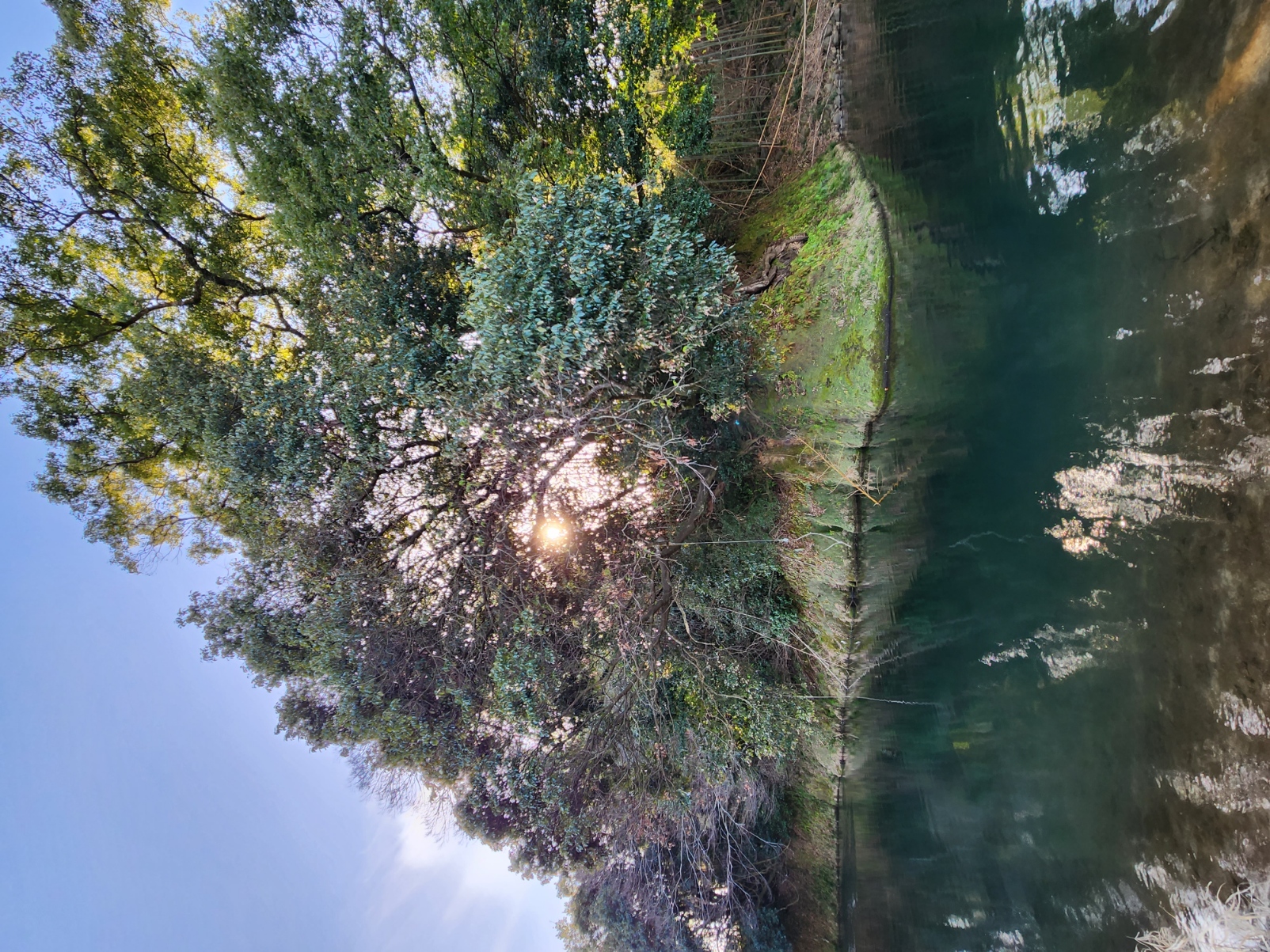 秘密基地の写真